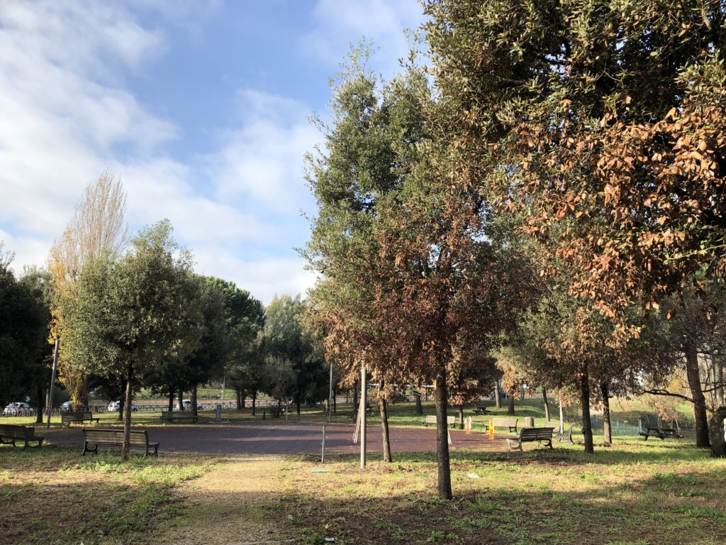 Piccolo parco giochi nel Parco delle Tre Fontane [Foto: Associazione Culturale GoTellGo, CC BY SA]