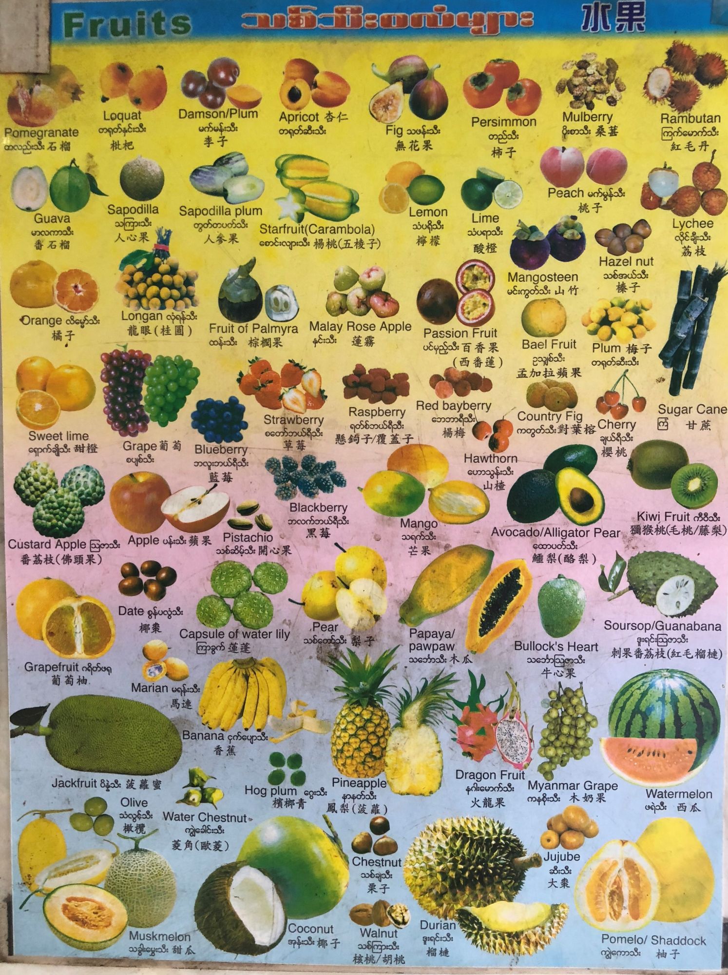 Frutta del Myanmar in un manifesto locale