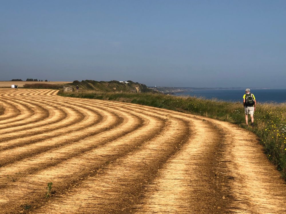 In cammino tra oceano e coltivazioni di cereali in Calvados [Foto: Associazione culturale GoTellGo, CC BY NC ND]