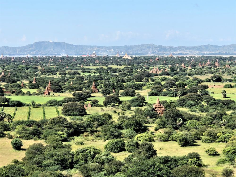 Gli stupa di Bagan visti dalla Torre di Bagan [Foto: GoTellGo, CC BY NC ND]