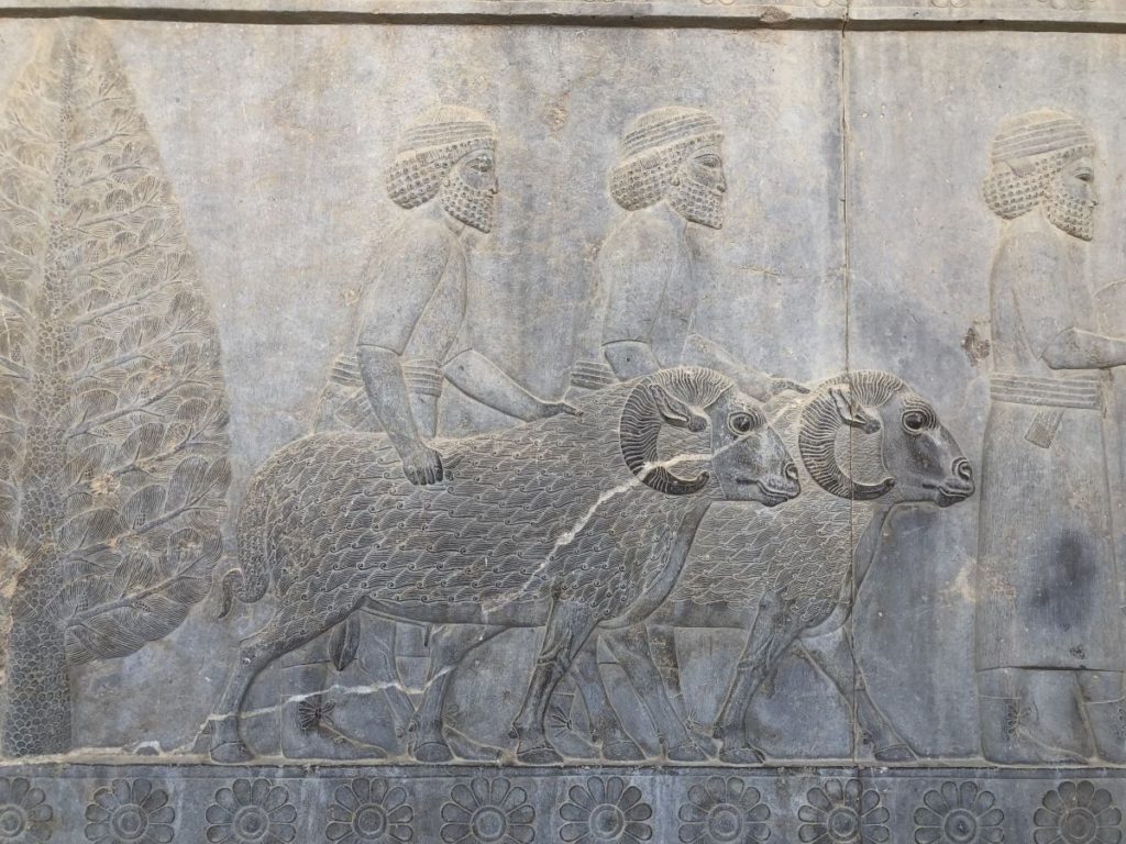 Persepolis: la delegazione dei Siriani [Foto: Associazione culturale GoTellGo, CC BY NC ND]