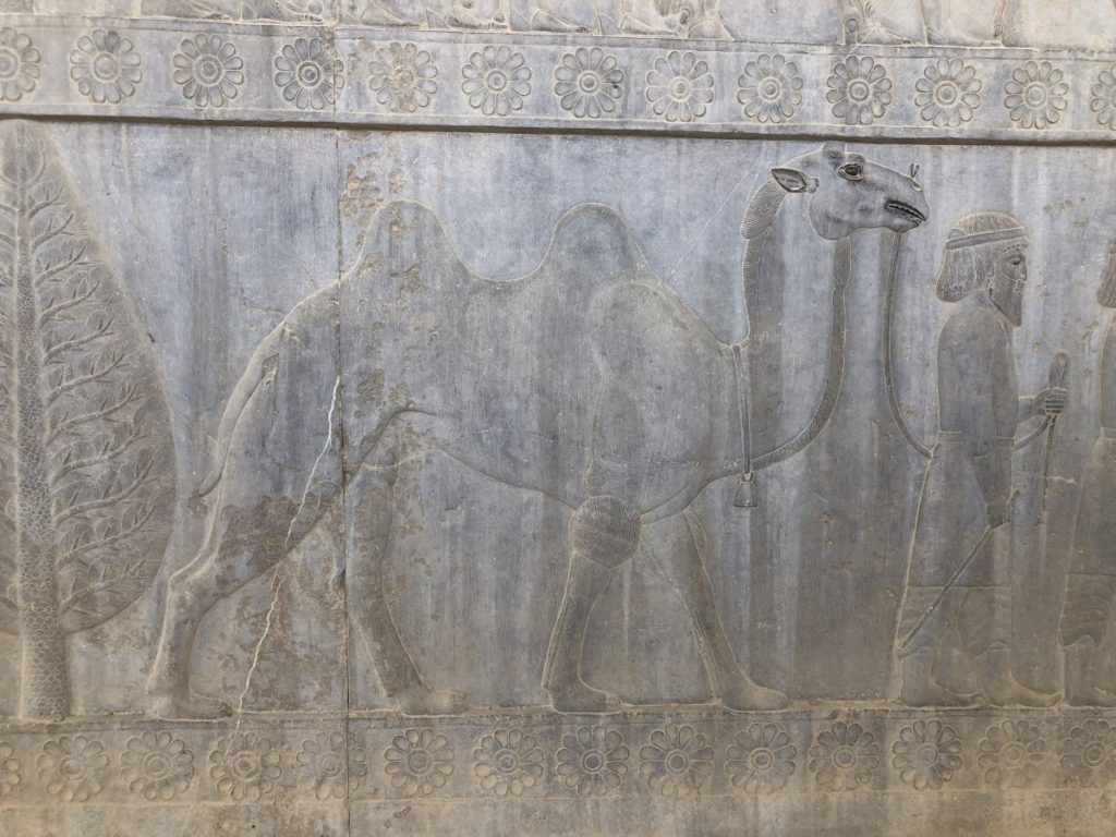 Persepolis: la delegazione dei rappresentanti della Battriana [Foto: Associazione culturale GoTellGo, CC BY NC ND]