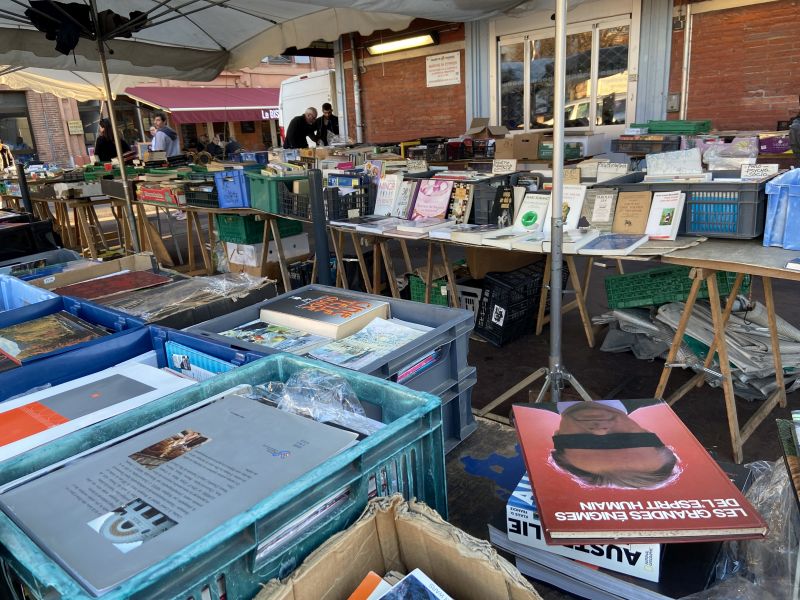 Tolosa: Mercato di libri a St. Cyprien [Foto: Associazione culturale GoTellGo, CC BY, NC, ND]