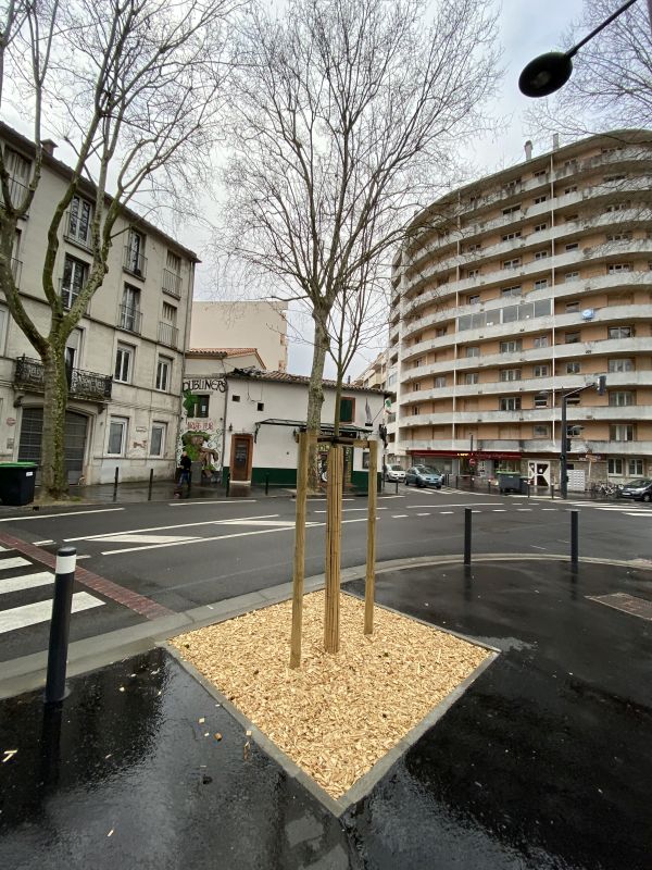 Tolosa: Protezioni per gli alberi [Foto: Associazione culturale GoTellGo, CC BY NC ND]