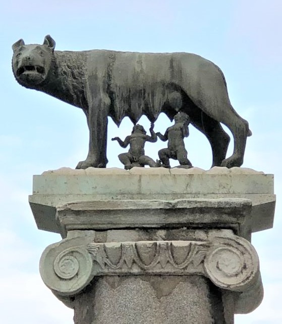 Colonna con Lupa Capitolina, Piazza del Campidoglio [Foto: Maria Teresa Natale, CC BY NC SA]