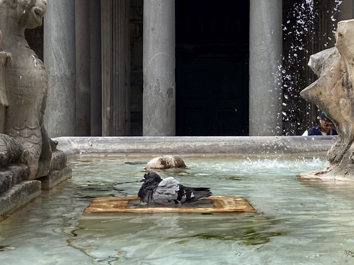 La vasca della fontana di piazza del Pantheon [Foto; Associazione culturale GoTellGo, CC BY NC, SA]