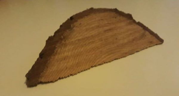 Un pezzo di legno [CC BY NC SA]