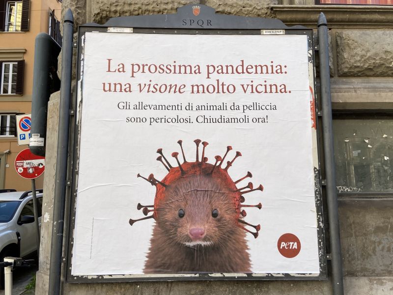 La prossima pandemia: una visone molto vicina, Roma, 2021 [Foto: Associazione culturale GoTellGo / Maria Teresa Natale, CC BY NC ND]