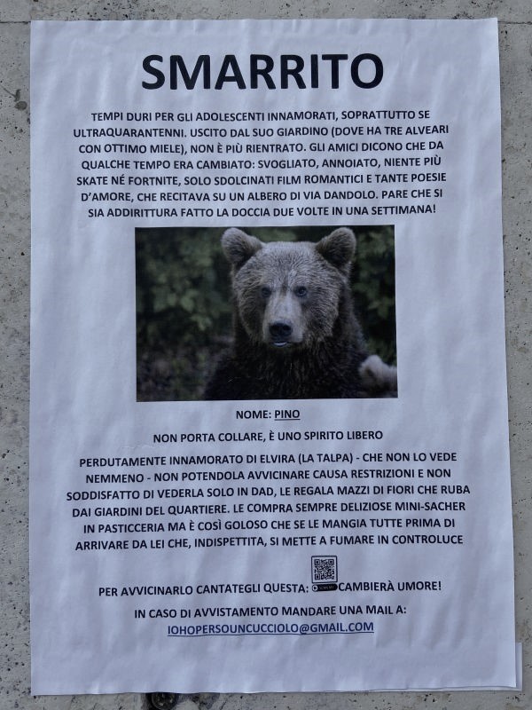 Smarrito l'orso Pino, Roma 2021 [Foto: Associazione culturale GoTellGo, CC BY NC ND]