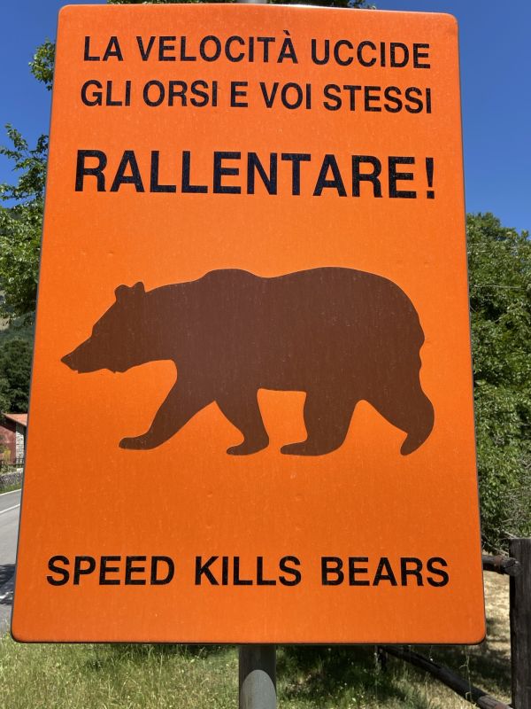 Speed kills bears [Foto: Associazione culturale GoTellGo / Maria Teresa Natale, CC BY NC SA]