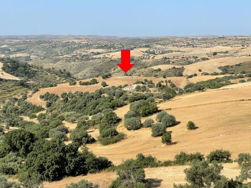 La freccia rossa indica la localizzazione dei resti dell'antica Casmene [Foto: Associazione culturale GoTellGo / Maria Teresa Natale, CC BY NC SA]