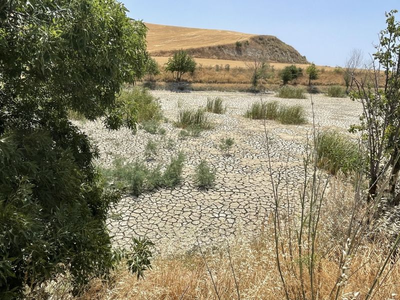Anche sugli Iblei la siccità inizia a farsi sentire [Foto: Associazione culturale GoTellGo / Maria Teresa Natale, CC BY NC SA]