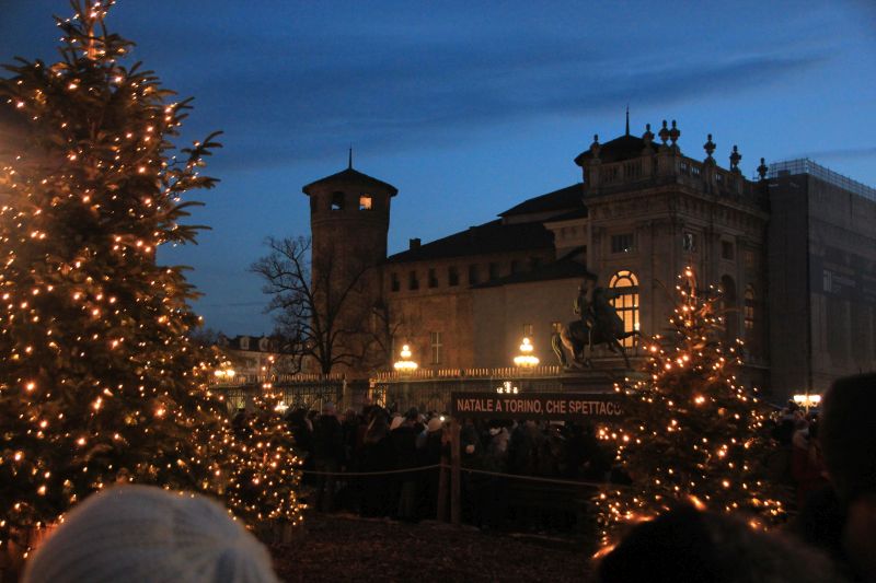 Torino, piazza Castello. Boschetto di abeti illuminati col Castello-Casaforte degli Acaja sullo sfondo. Foto di Stefano Borghini [CC BY NC SA]