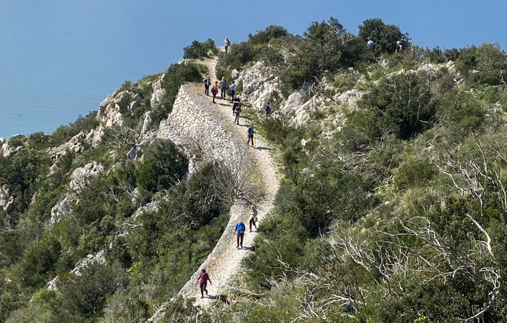 Escursione sul Monte Circello [Foto: Associazione culturale GoTellGo / Maria Teresa Natale, CC BY NC SA]