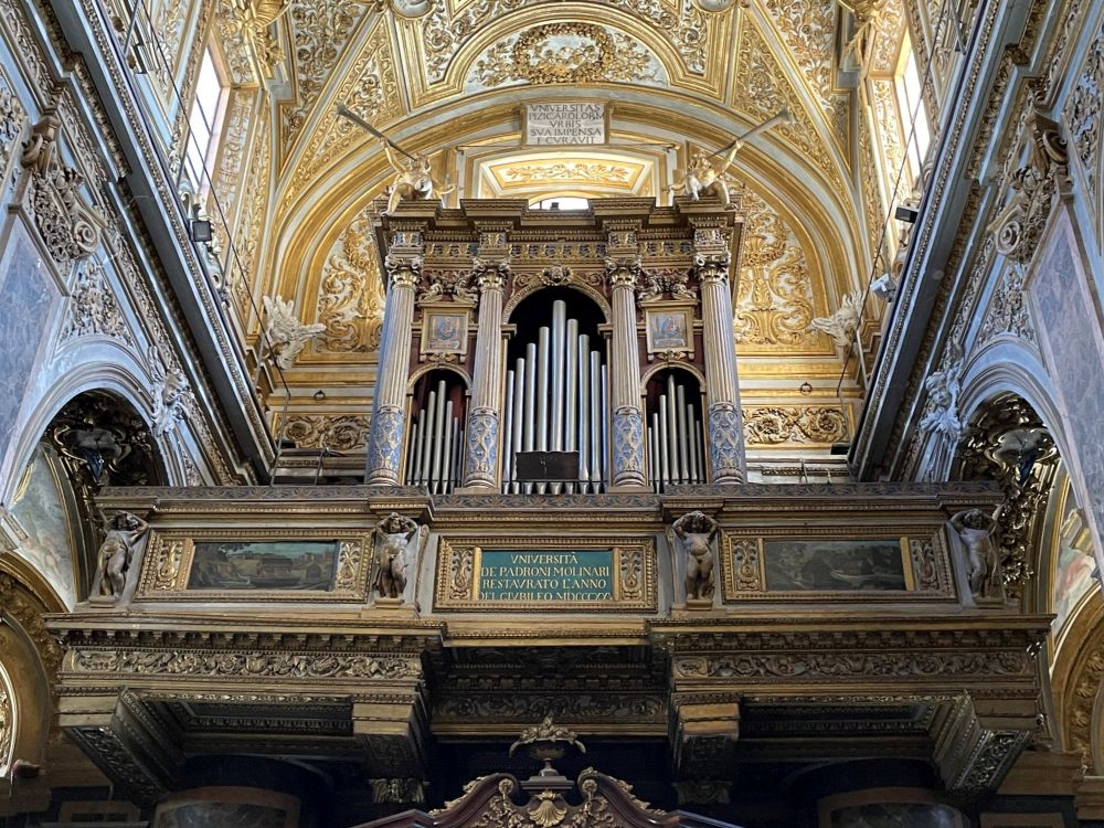 Organo ottocentesco [Foto: Associazione culturale GoTellGo / Maria Teresa Natale, CC BY NC SA]