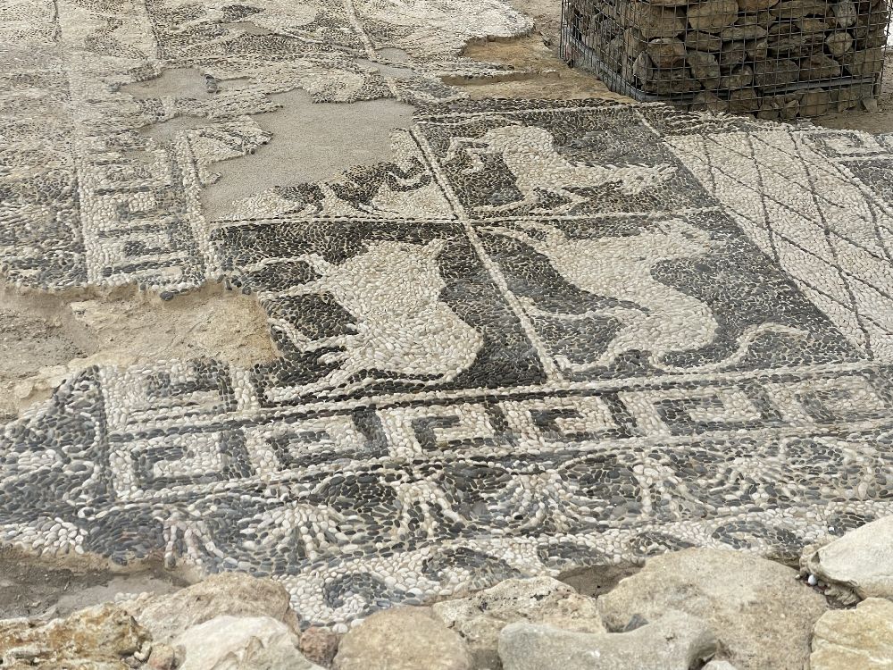 Mozia: Casa dei mosaici [Foto: Maria Teresa Natale, CC BY NC SA]