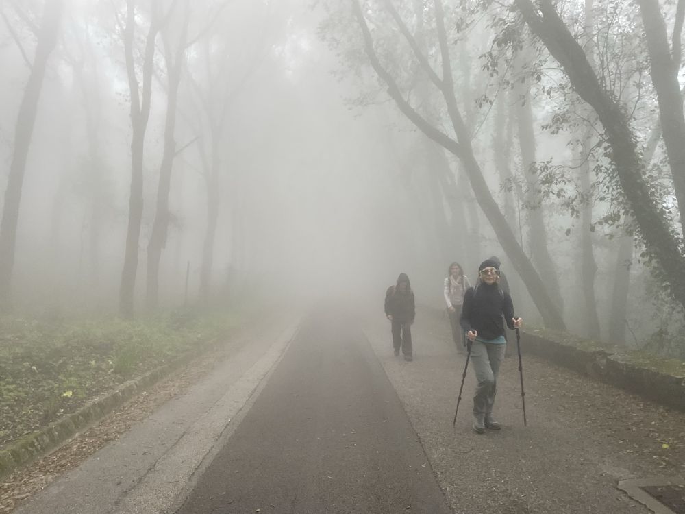 A pochi passi da Erice, la nebbia è sempre più fitta [Foto: Maria Teresa Natale, CC BY NC SA]