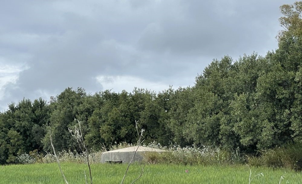 Bunker nell'agro ericino [Foto: Maria Teresa Natale, CC BY NC SA]