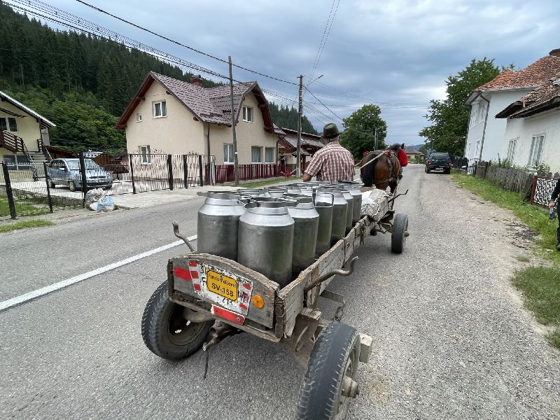 Carretto tradizionale della Bucovina per il trasporto del latte [Foto: Maria Teresa Natale, CC BY NC SA]