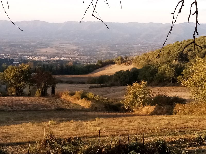 Panorama da Arliano: campi coltivati a grano, la vallata del Mugello e l’Appennino emiliano-romagnolo [Foto: Elena Tredici, CC BY NC SA]