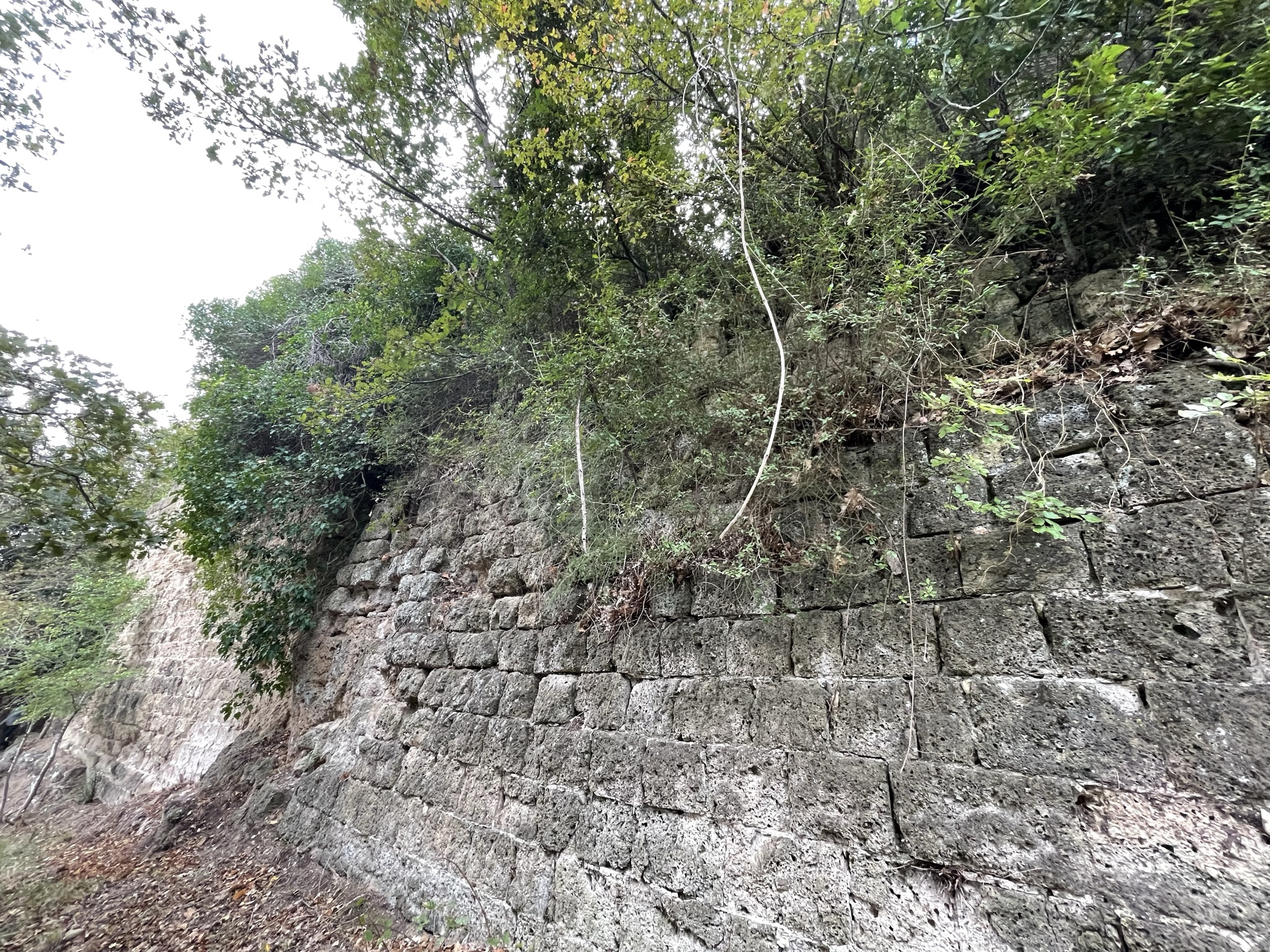 Mura di Castellardo [Foto: Maria Teresa Natale, CC BY NC SA]