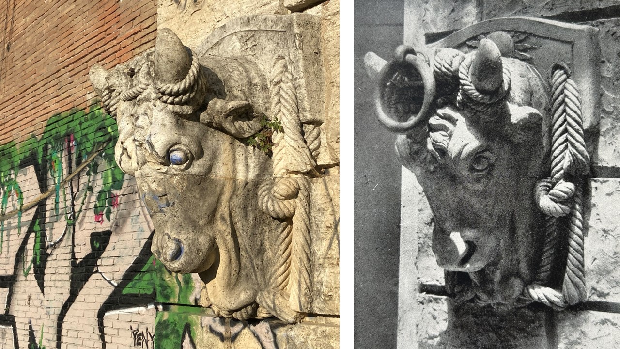 Testa taurina sul Lungotevere Aventino oggi e nel 1927 in una foto storica di Capitolium