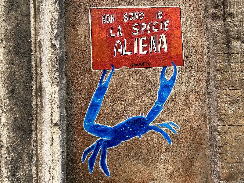 [Foto: Maria Teresa Natale, CC BY NC SA]