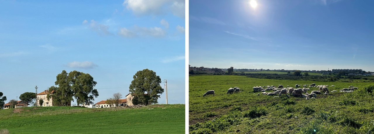 La tenuta di Casetta Mistici [Foto: Maria Teresa Natale, CC BY NC SA]