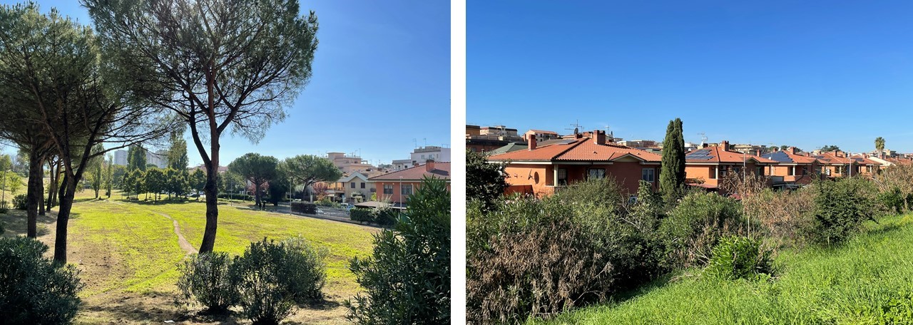 Via Anton Domenico Gabbiani: area verde e villette a schiera [Foto: Maria Teresa Natale, CC BY NC SA]